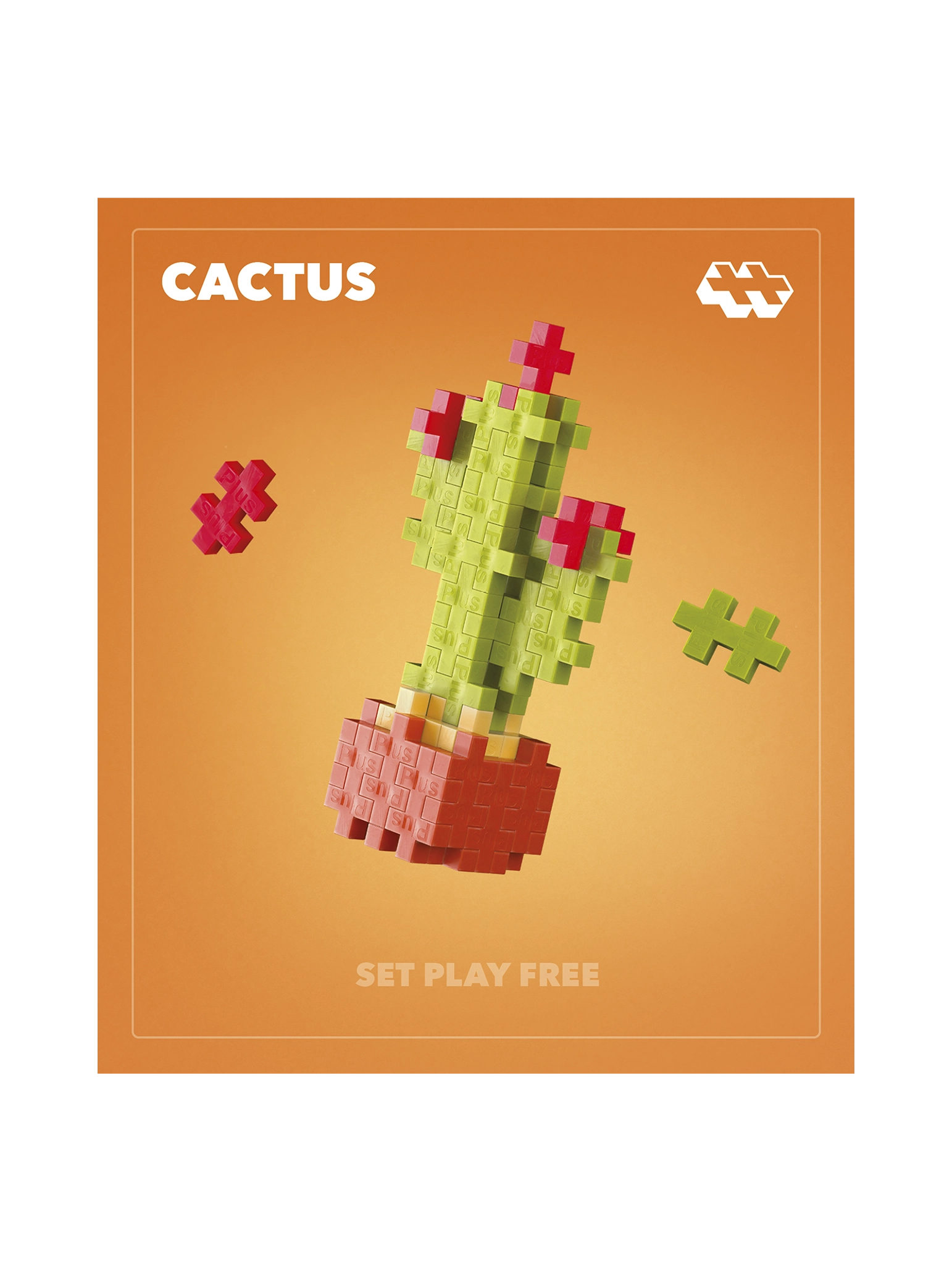 Kaktus